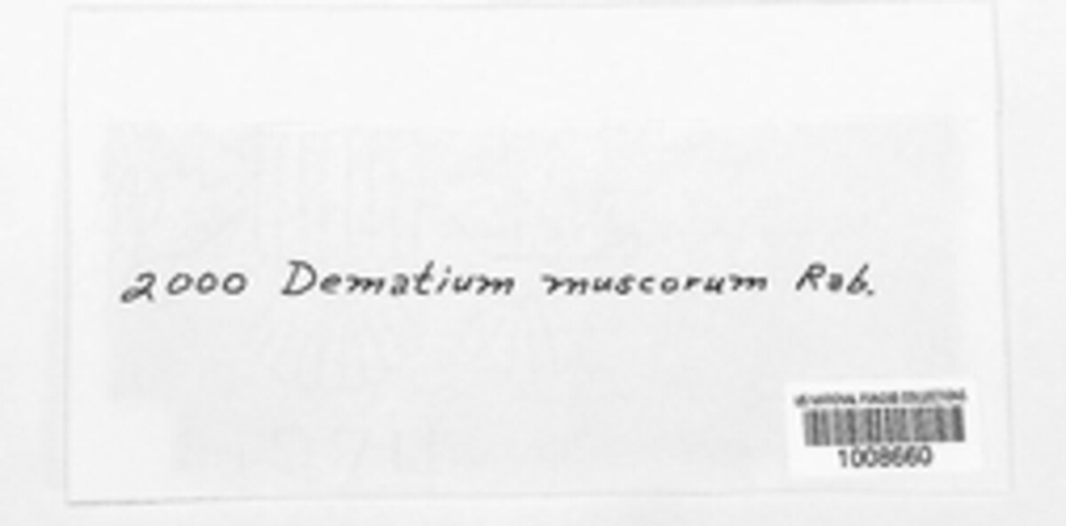 Dematium muscorum image